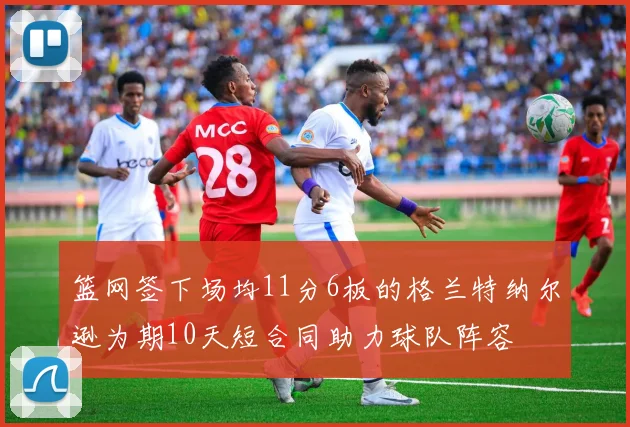 篮网签下场均11分6板的格兰特纳尔逊为期10天短合同助力球队阵容