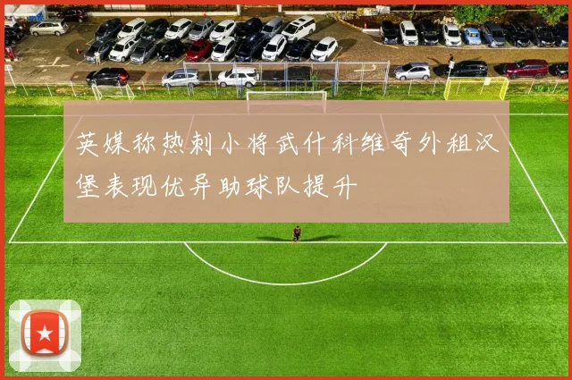 英媒称热刺小将武什科维奇外租汉堡表现优异助球队提升