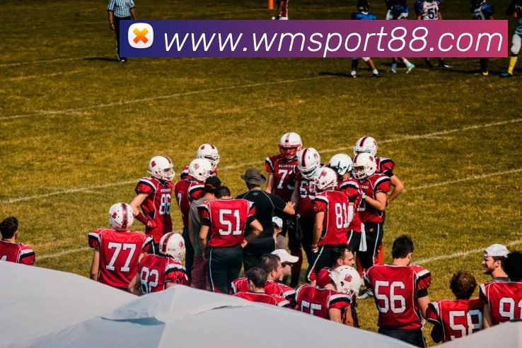 App Interface Preview